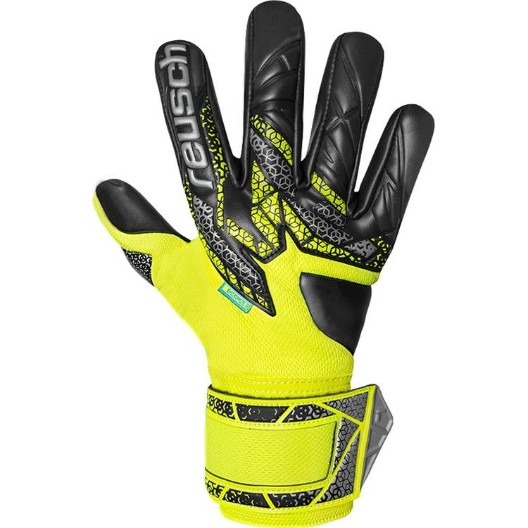 reusch ロイシュ アトラクト フュージョンガーディアン 5570985 2025