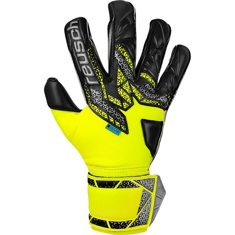 reusch ロイシュ アトラクトレジスト ジュニア 5562615 7700 | 【公式