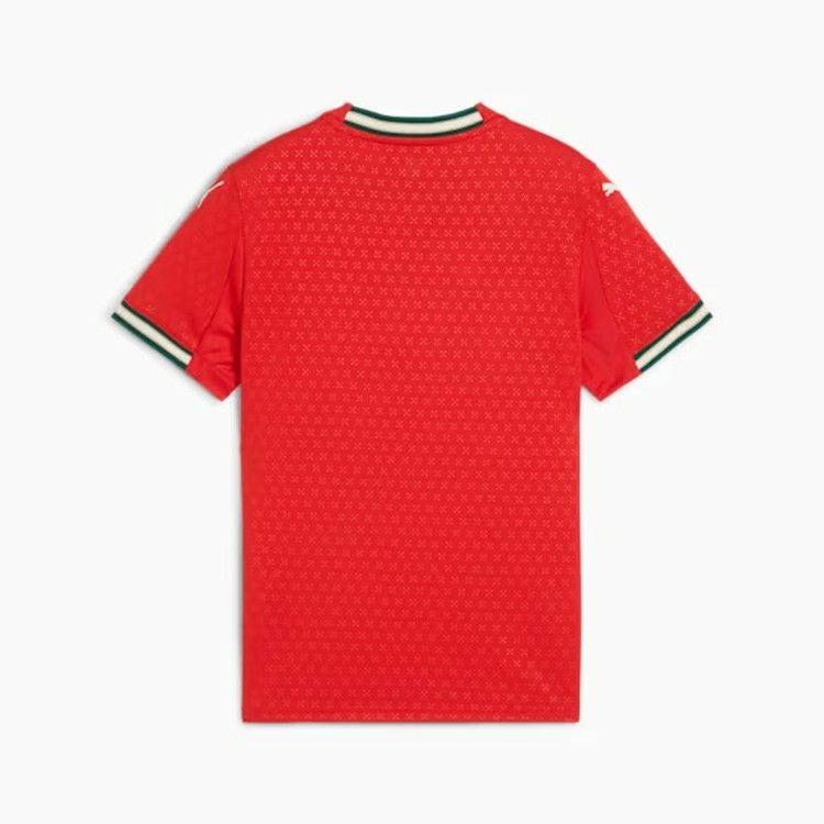 PUMA プーマ 2025 ジュニア ポルトガル代表 ホーム レプリカ