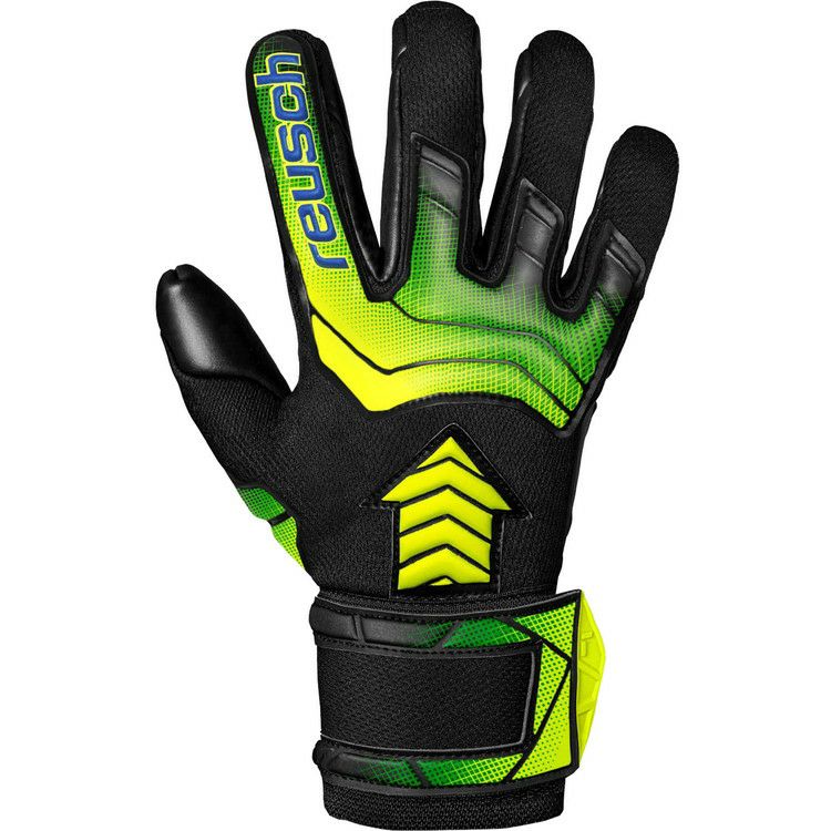 000000019613-01.jpg?size=l&w=