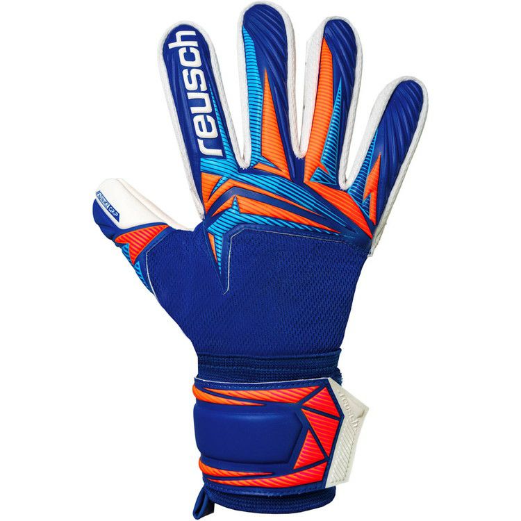 reusch ロイシュ アトラクト インフィニティ エボリューション NC