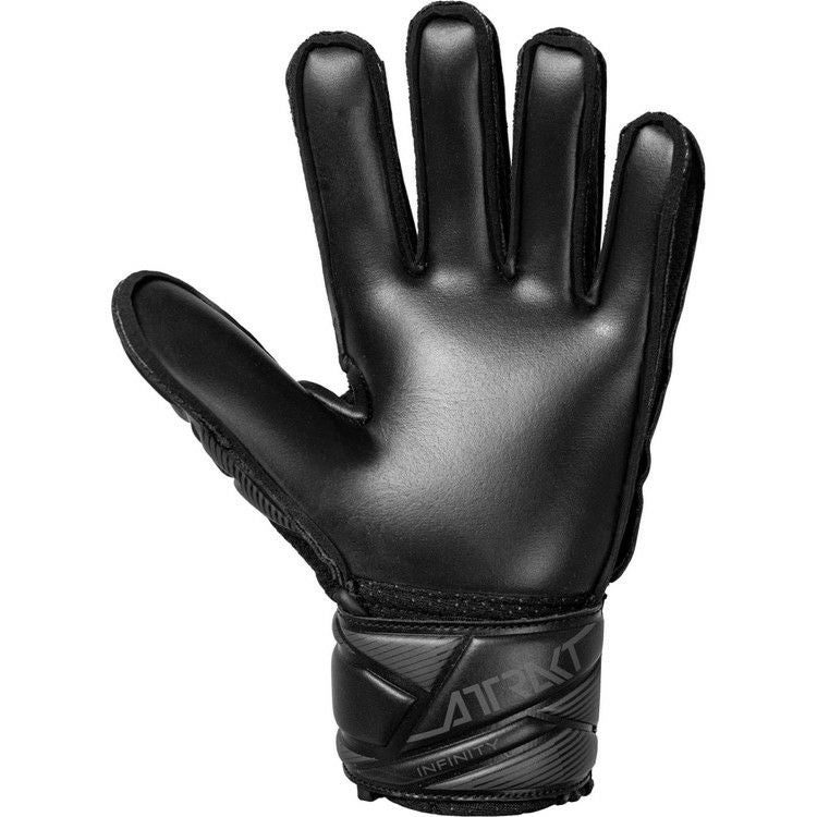 000000020869-02.jpg?size=xs&w=