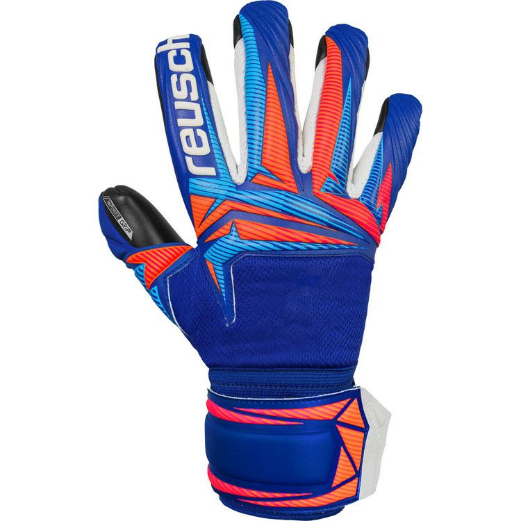 000000020870-01.jpg?size=m&w=